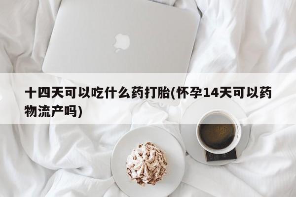 米非司酮片网上购买微信十四天可以吃什么药打胎(怀孕14天可以药物流产吗)
